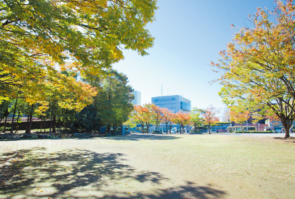 第一カッターきいろ公園（中央公園）