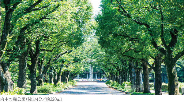 武蔵野中央公園