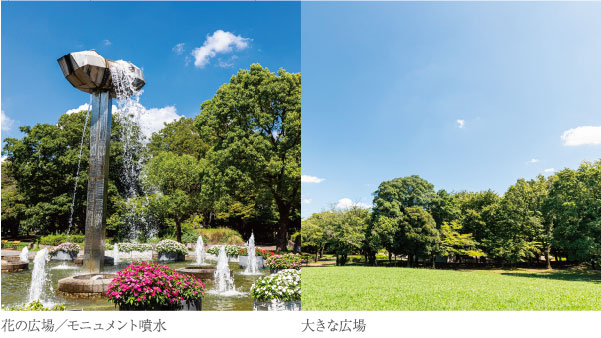 武蔵野中央公園